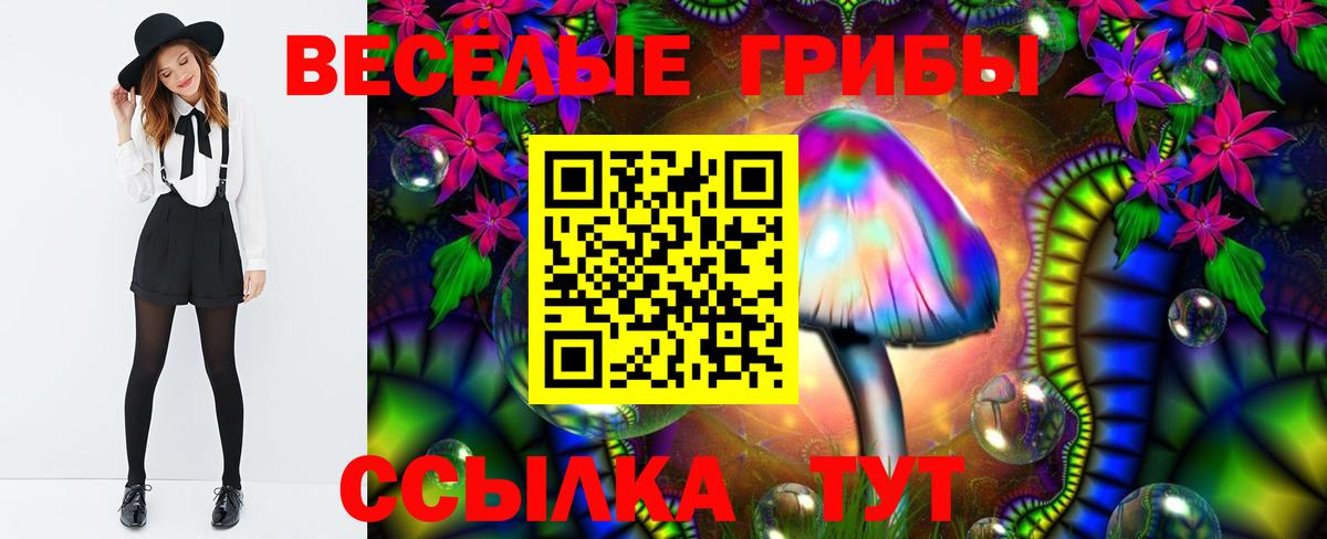 дарнет шоп  Галлюциногенные грибы GOLDEN TEACHER  Вход с VPN  Верхняя Пышма 